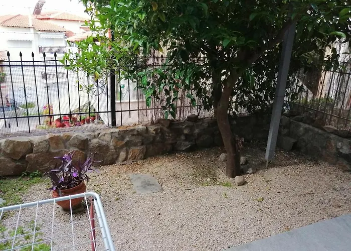 Valachis *